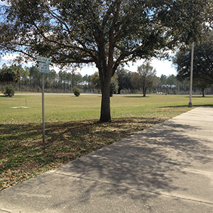 rest area wide open field and pet walk